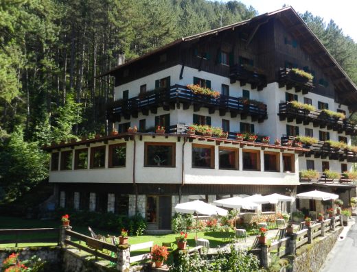 HOTEL GARNI’ MILLE PINI