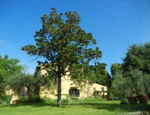 IL BORGHETTO E LA CASINA