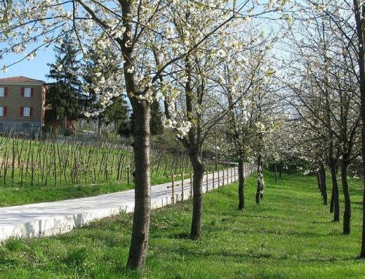 B&B LA COLLINA DEI CILIEGI